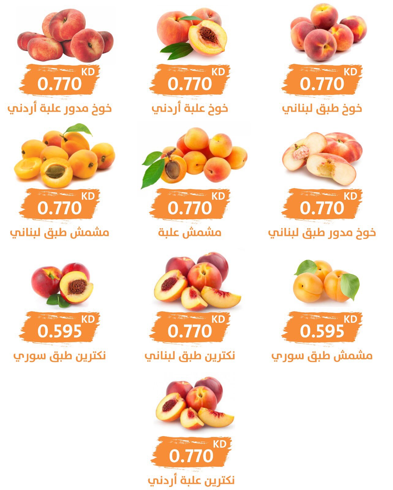 صفحة 3