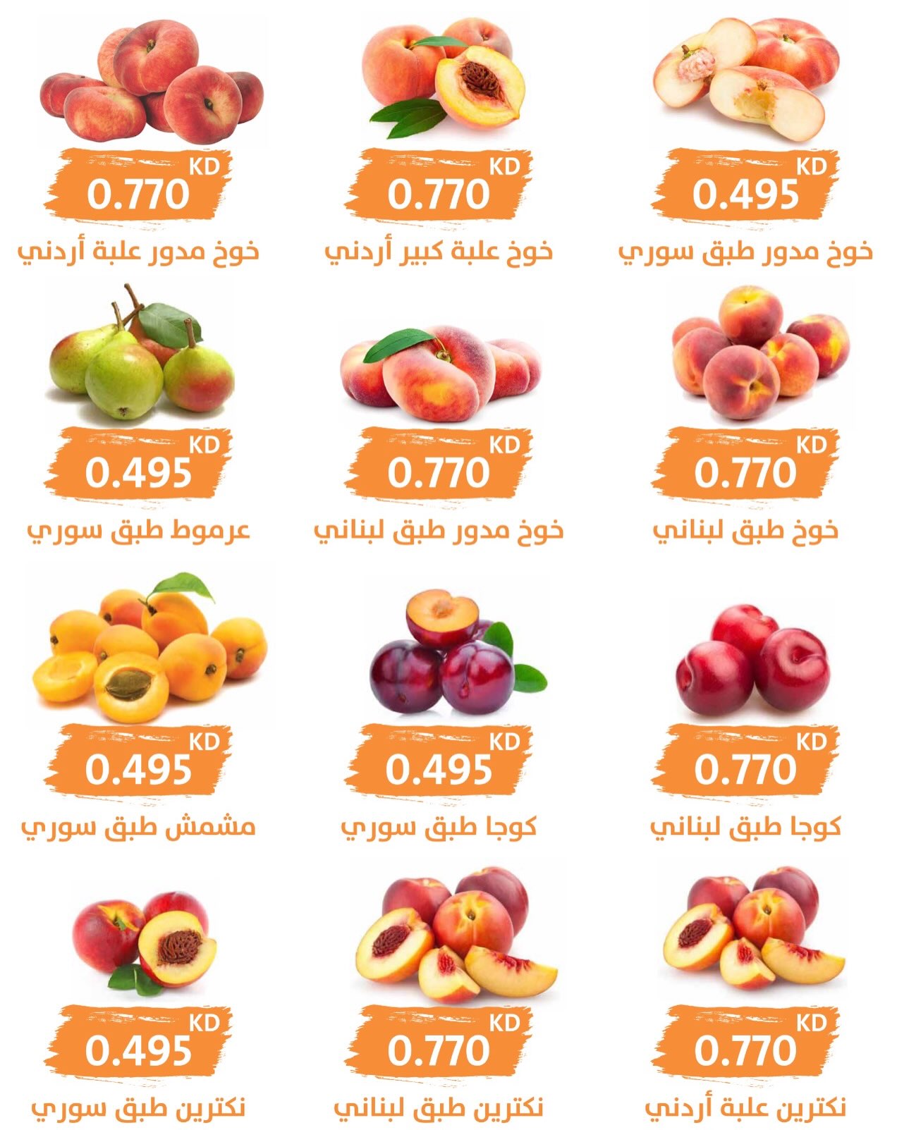 صفحة 3