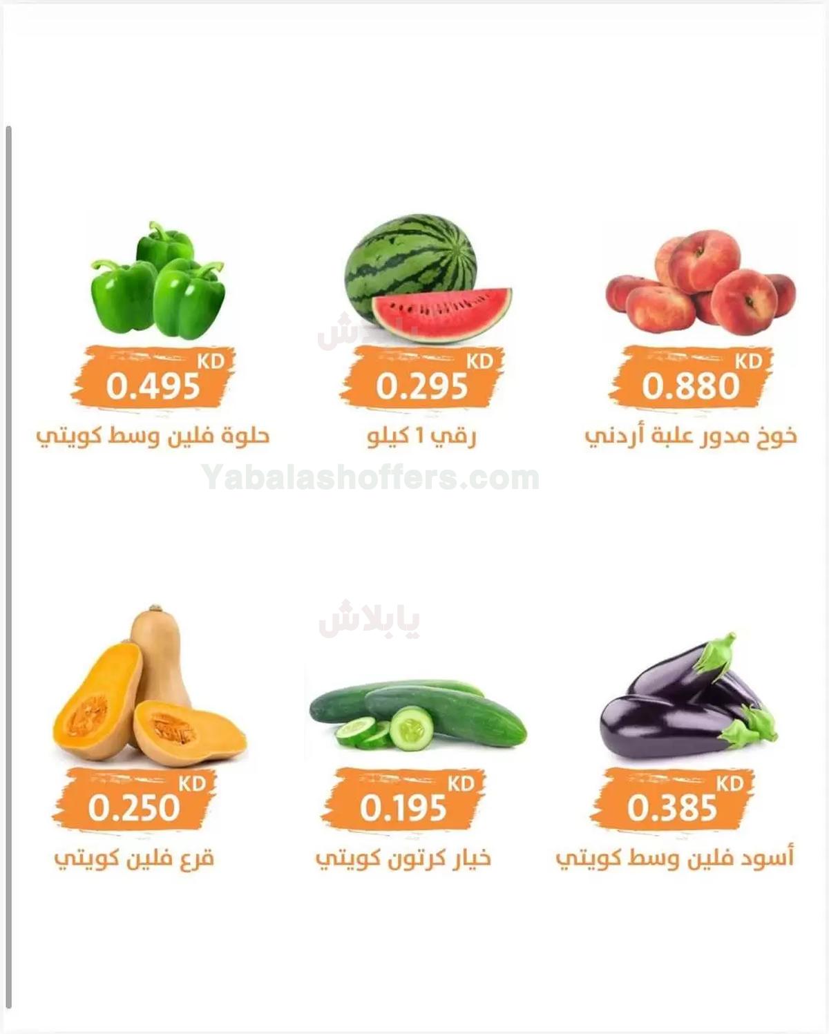 صفحة 3