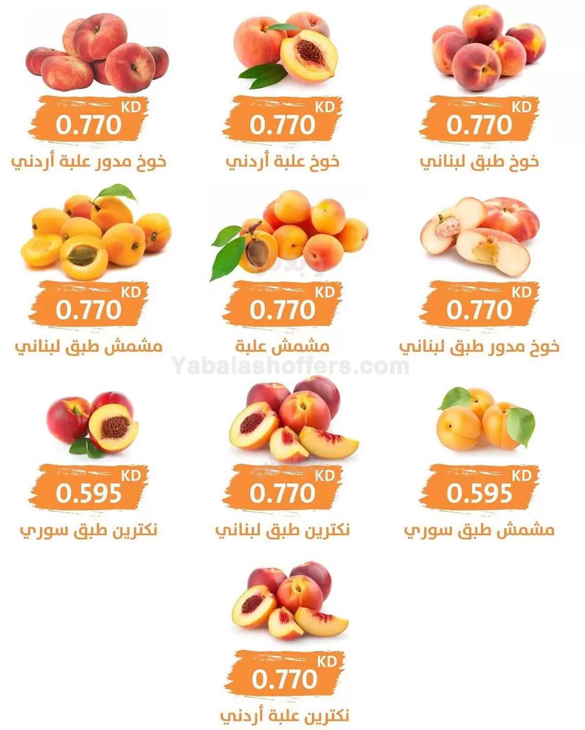 صفحة 3