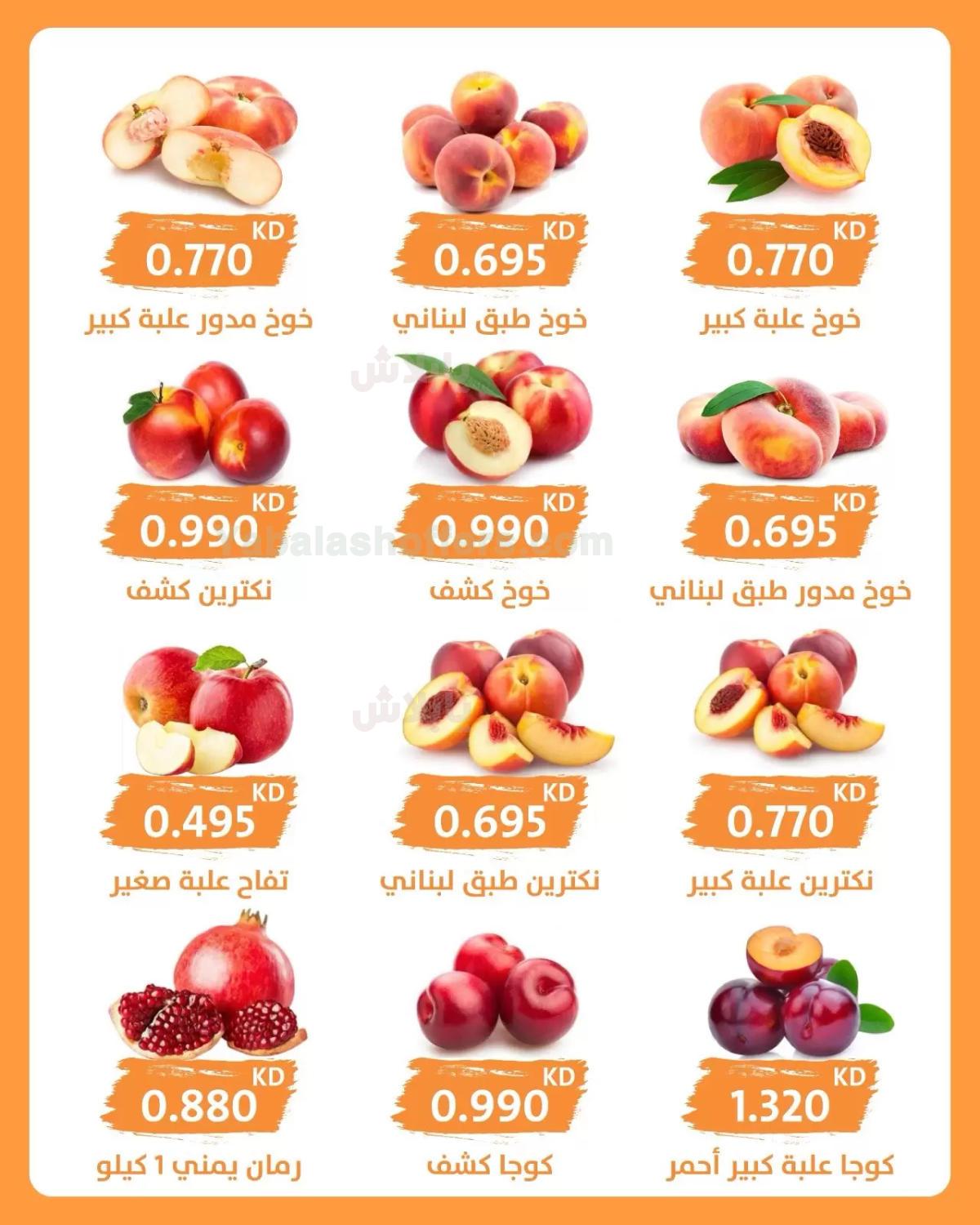 صفحة 4