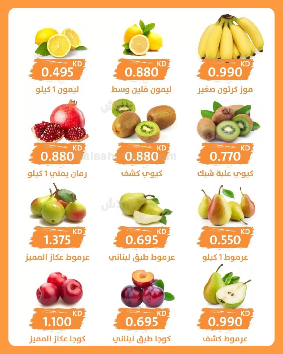 صفحة 3