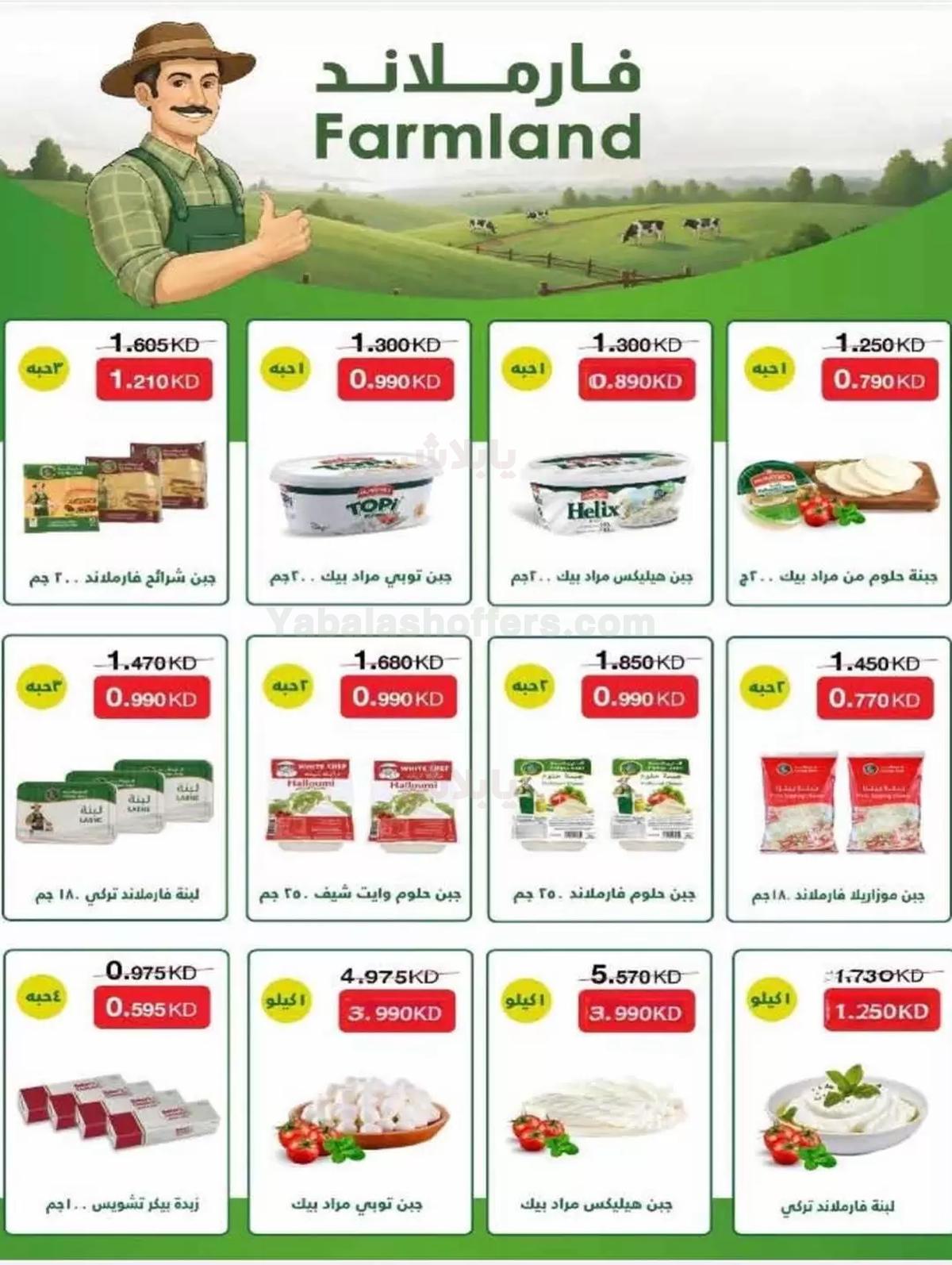 صفحة 8