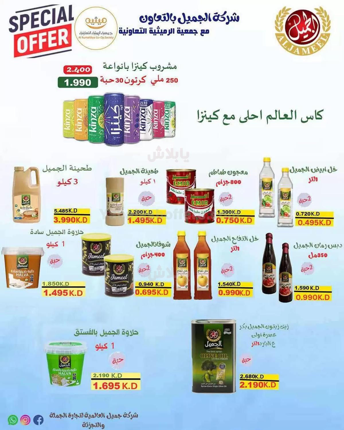 صفحة 29
