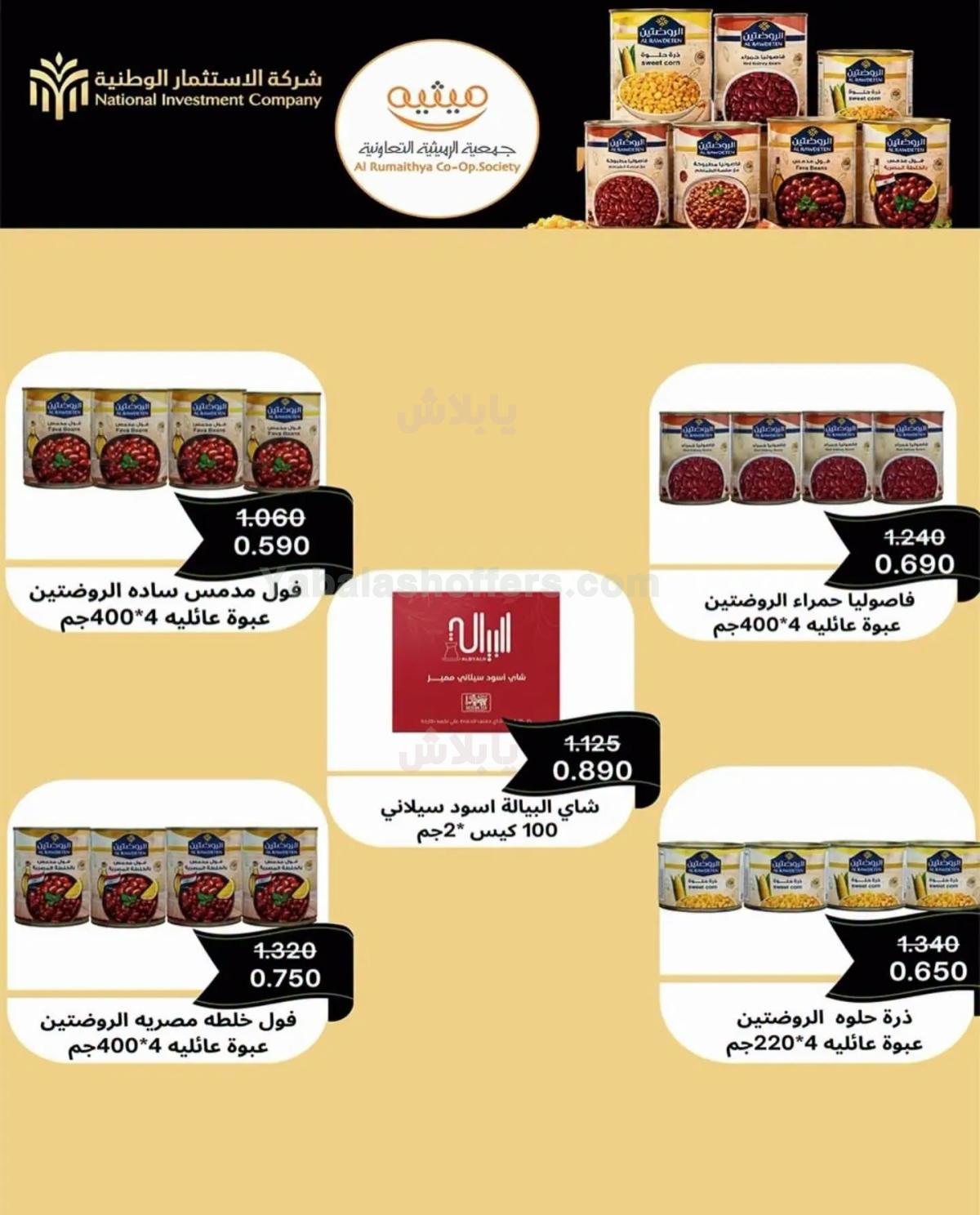 صفحة 16