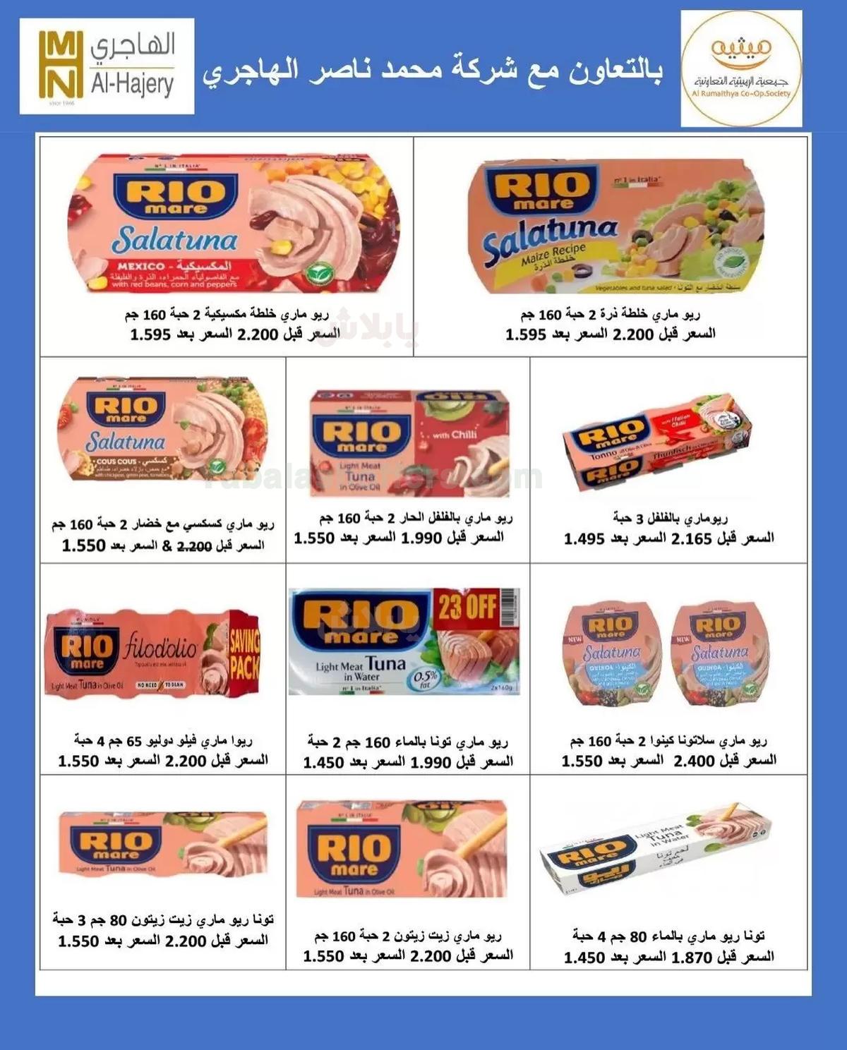 صفحة 14