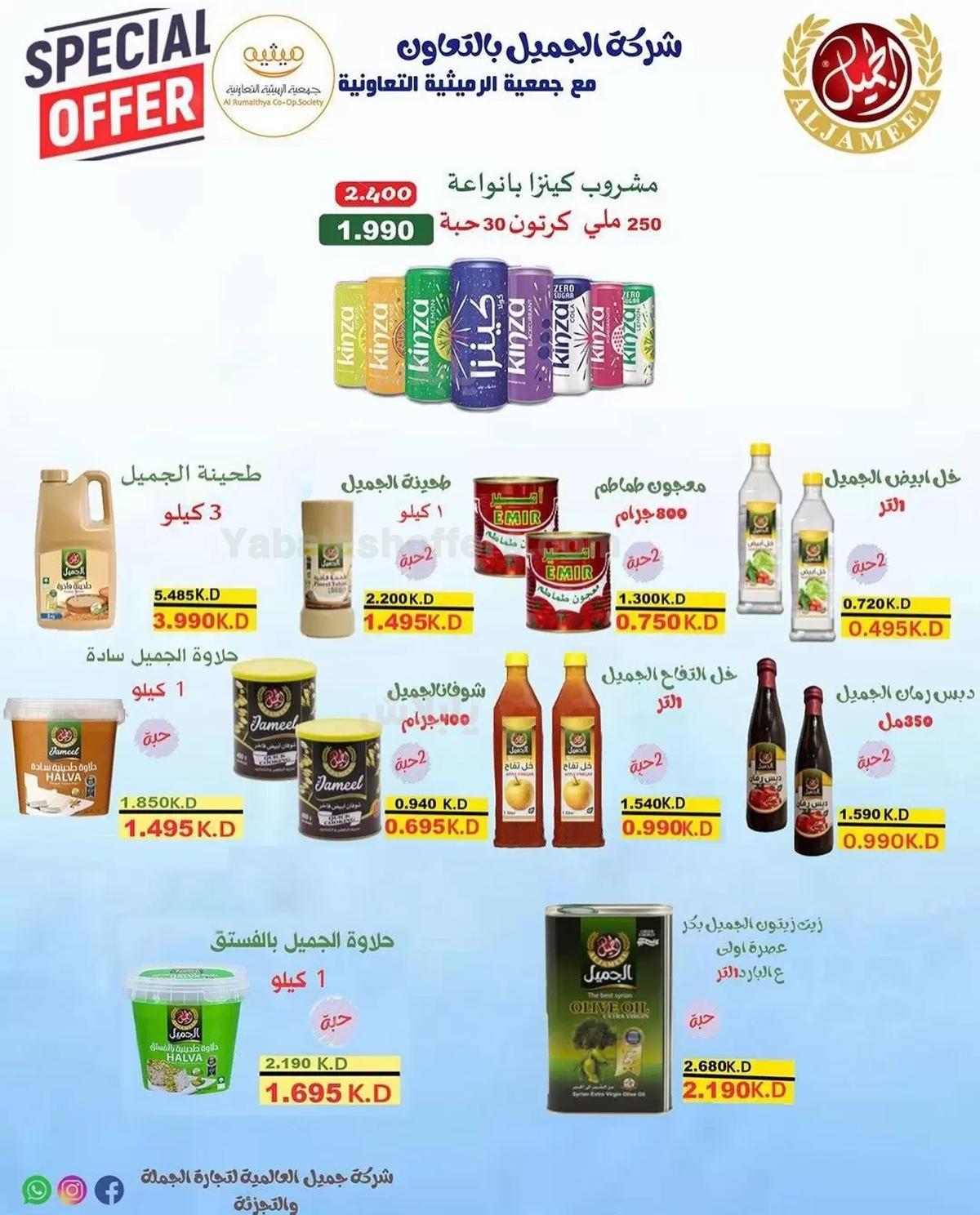 صفحة 29