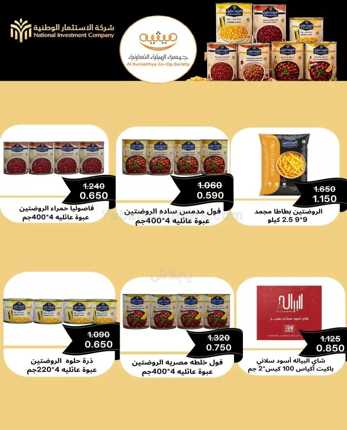صفحة 41