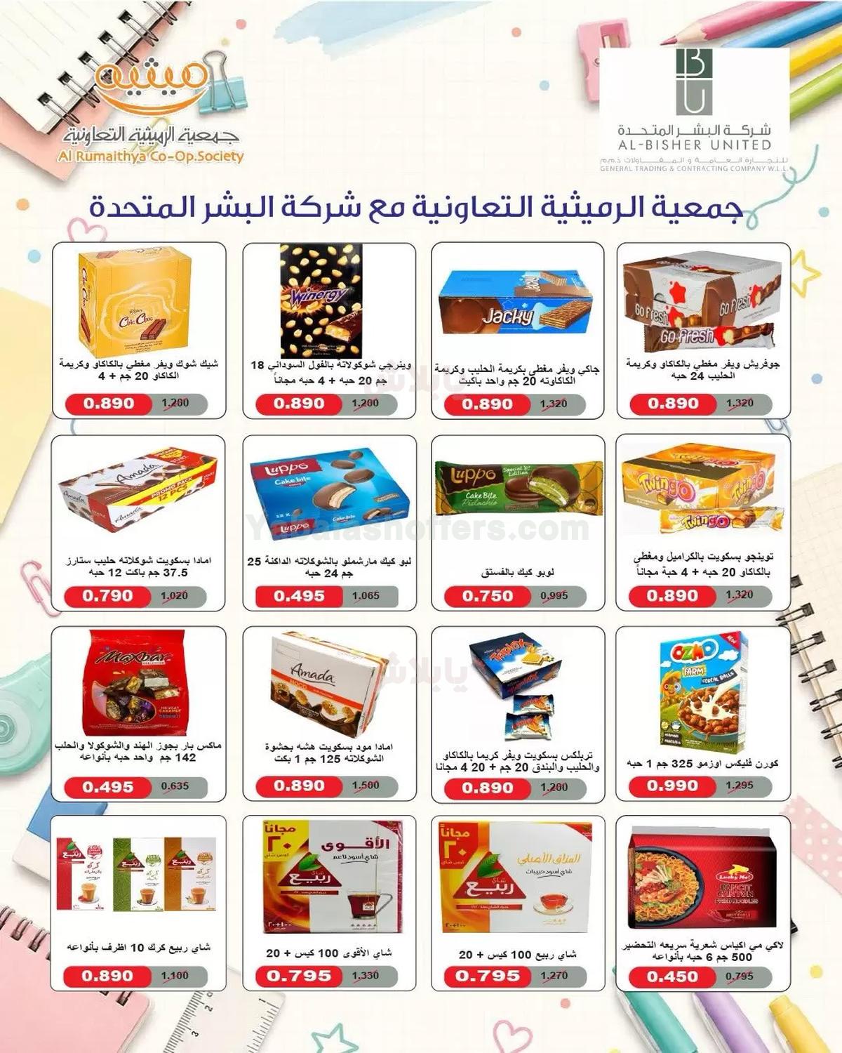صفحة 13