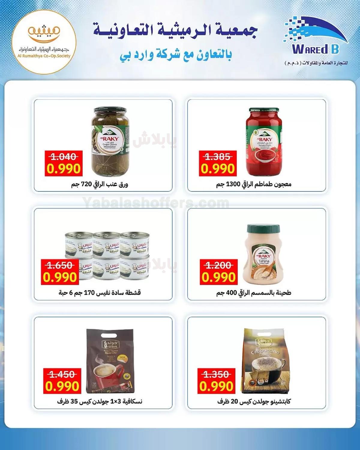 صفحة 17