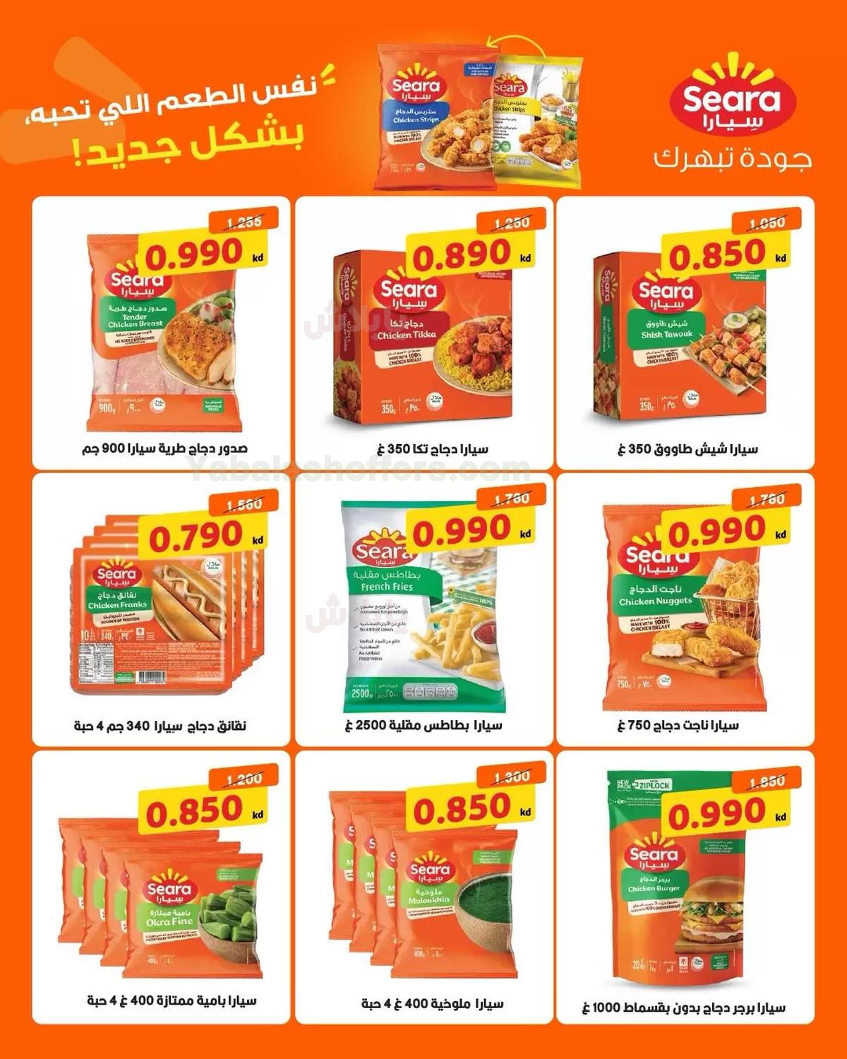 صفحة 24