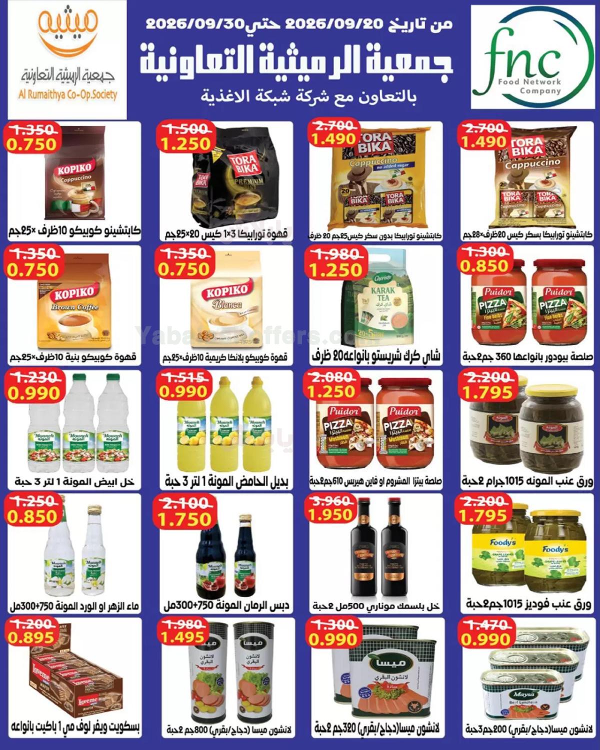 صفحة 11