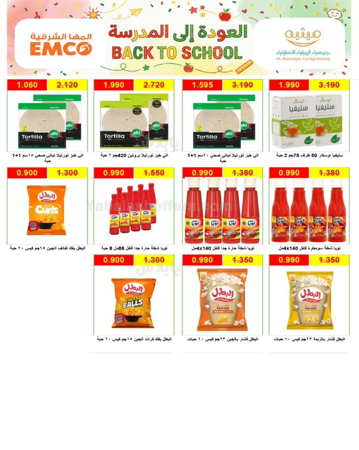 صفحة 13