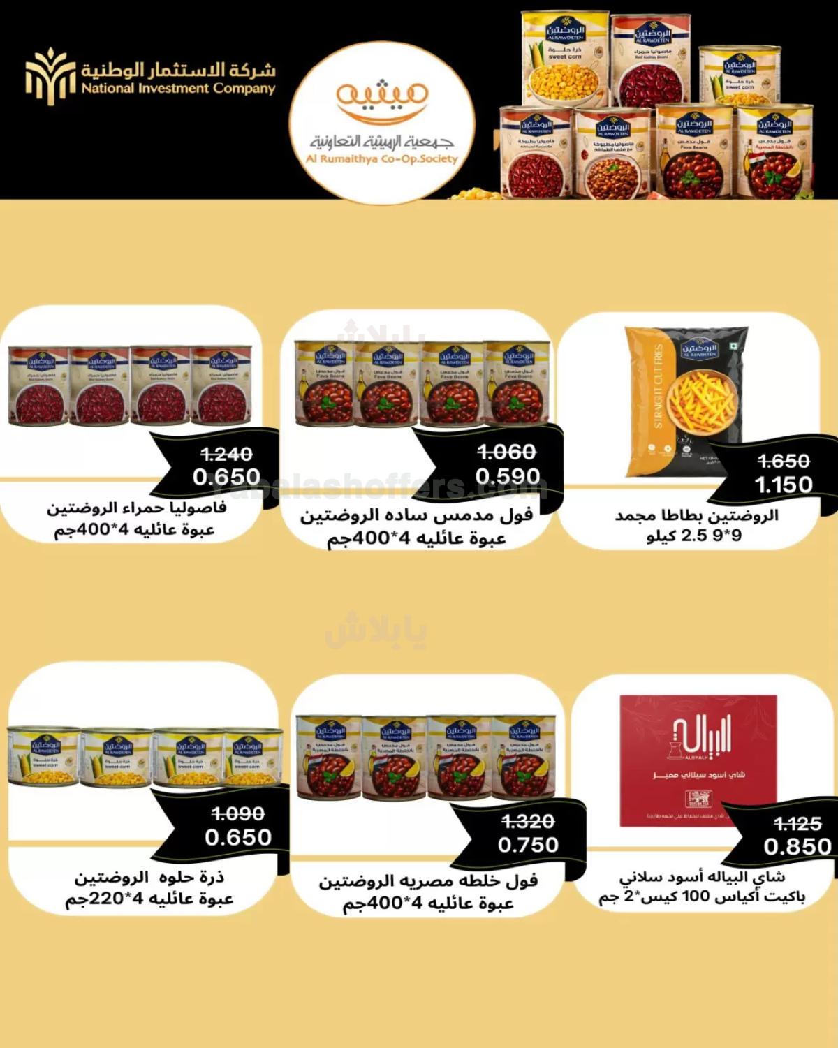 صفحة 17