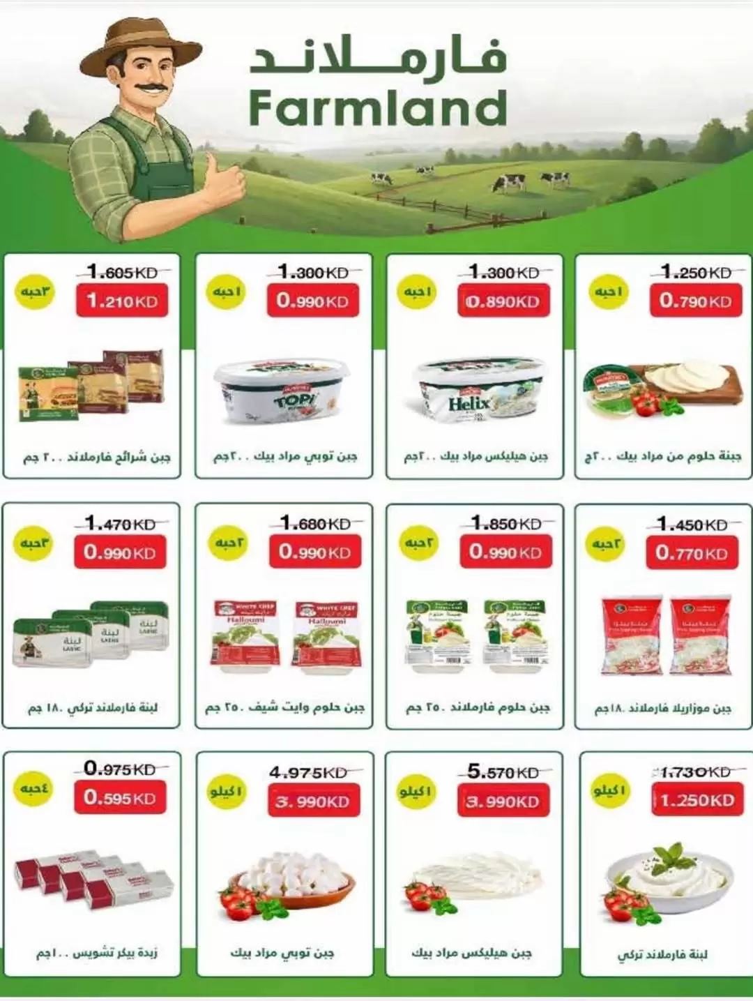 صفحة 8