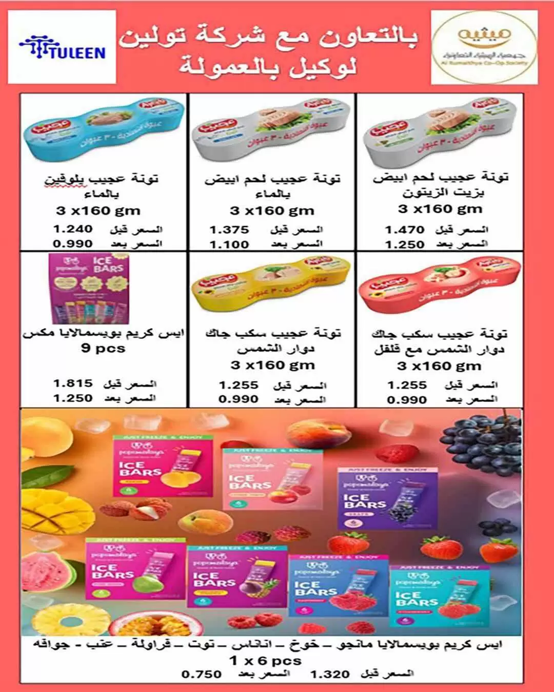 صفحة 31