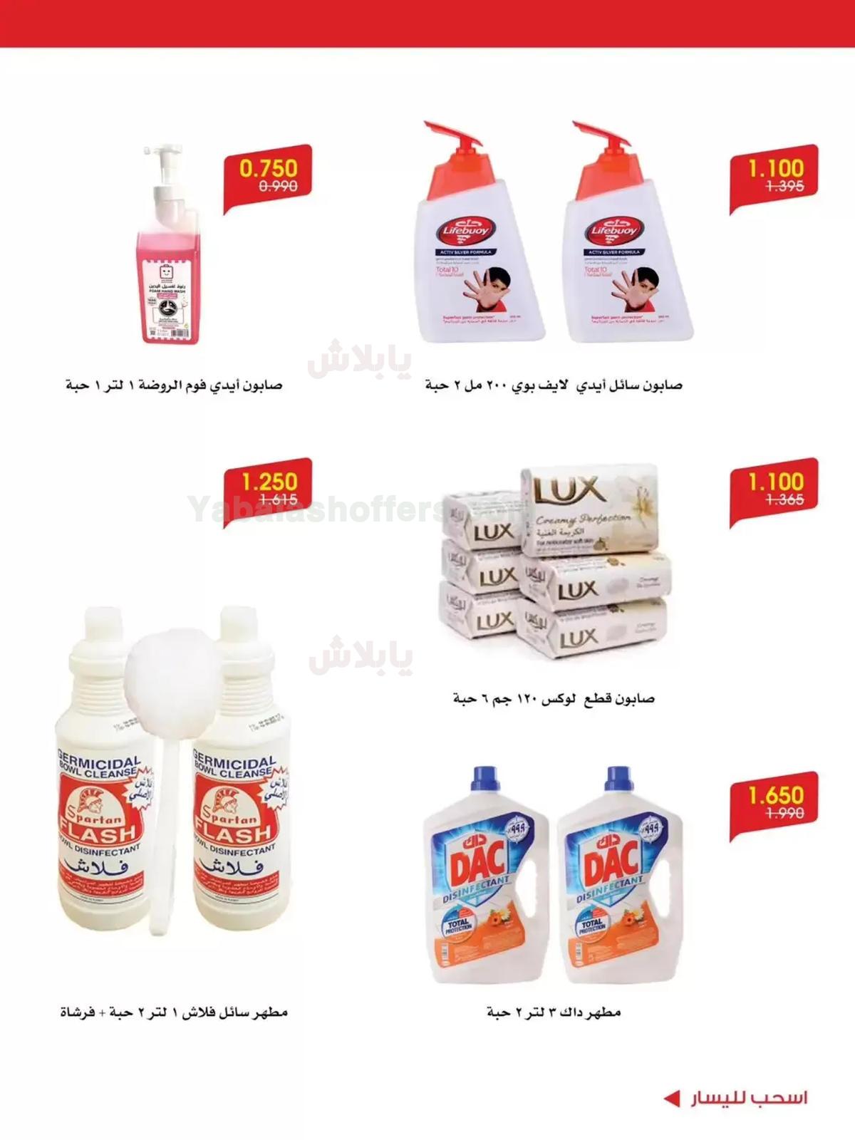 صفحة 13