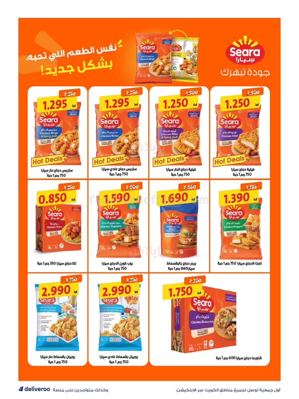 صفحة 3