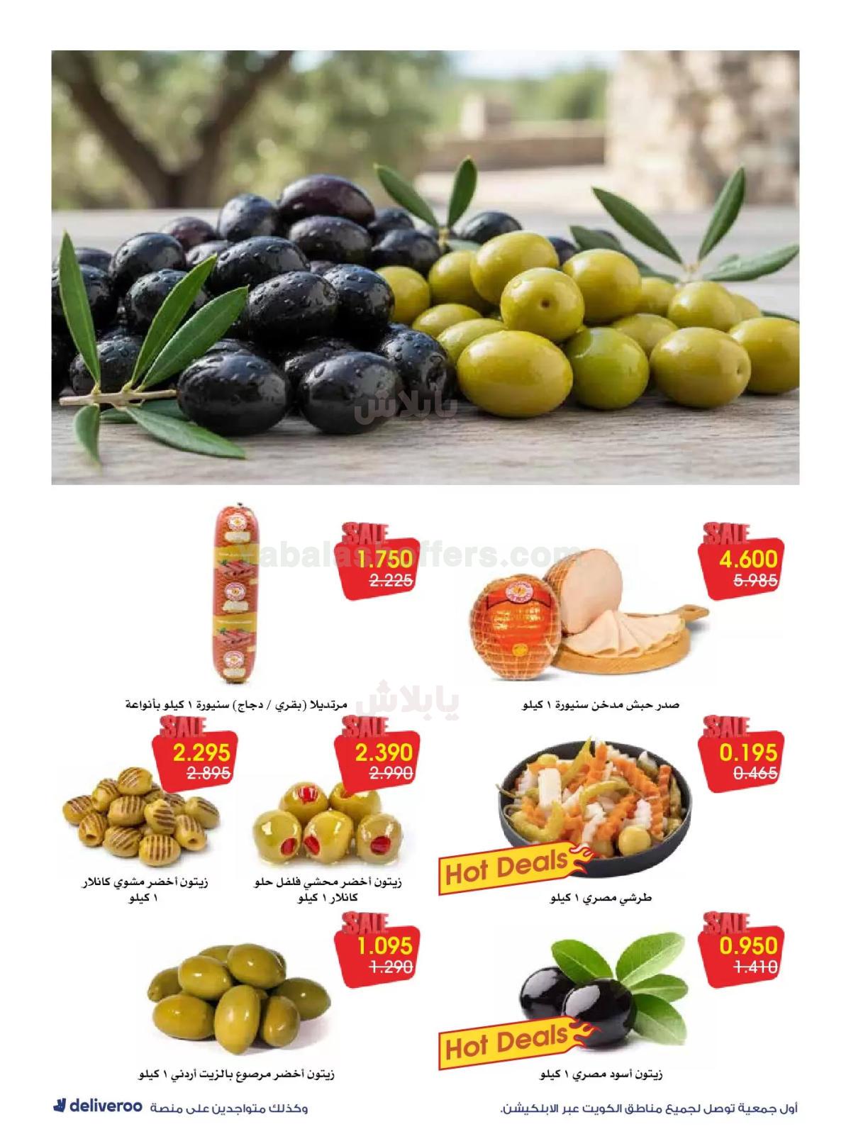 صفحة 11