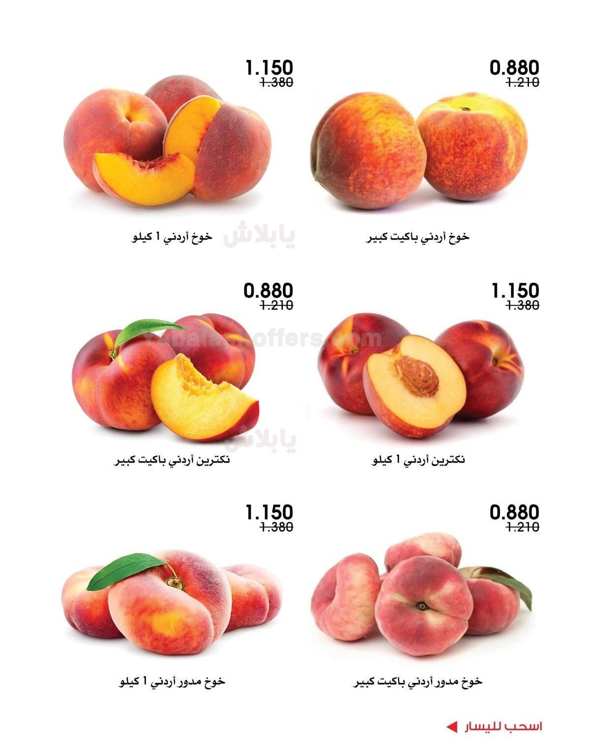 صفحة 3