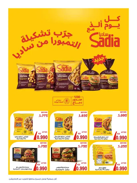 صفحة 3