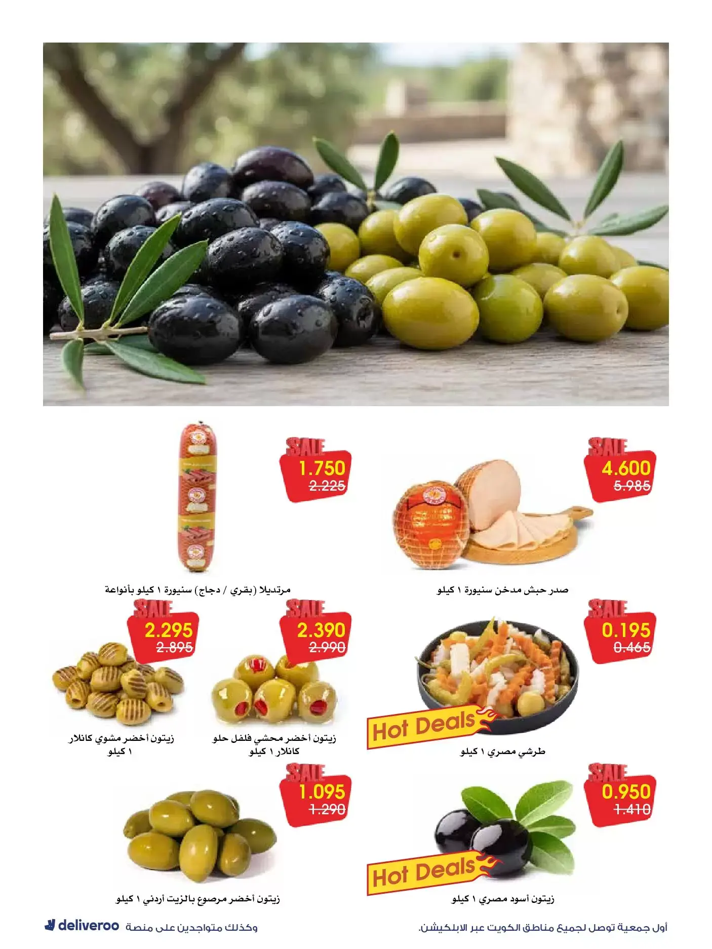 صفحة 11