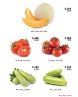 صفحة 13