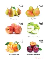 صفحة 15