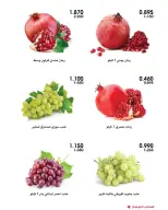 صفحة 17