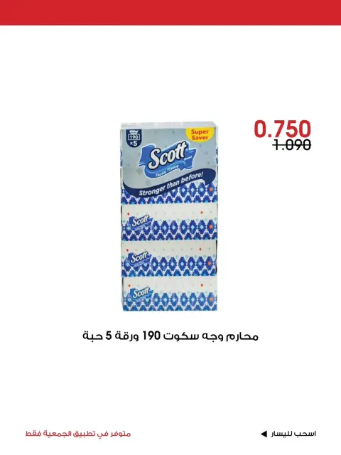 صفحة 13