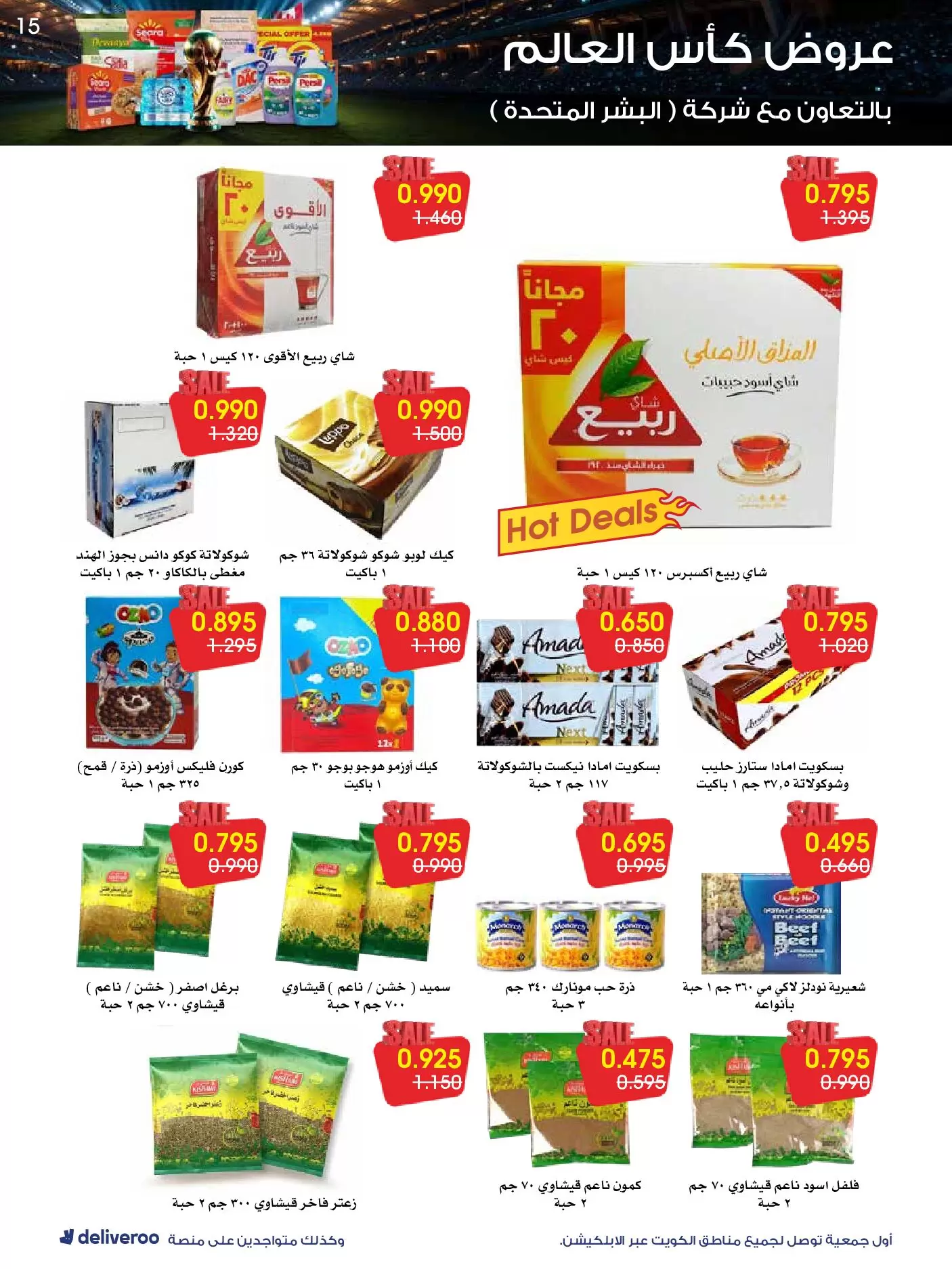 صفحة 15