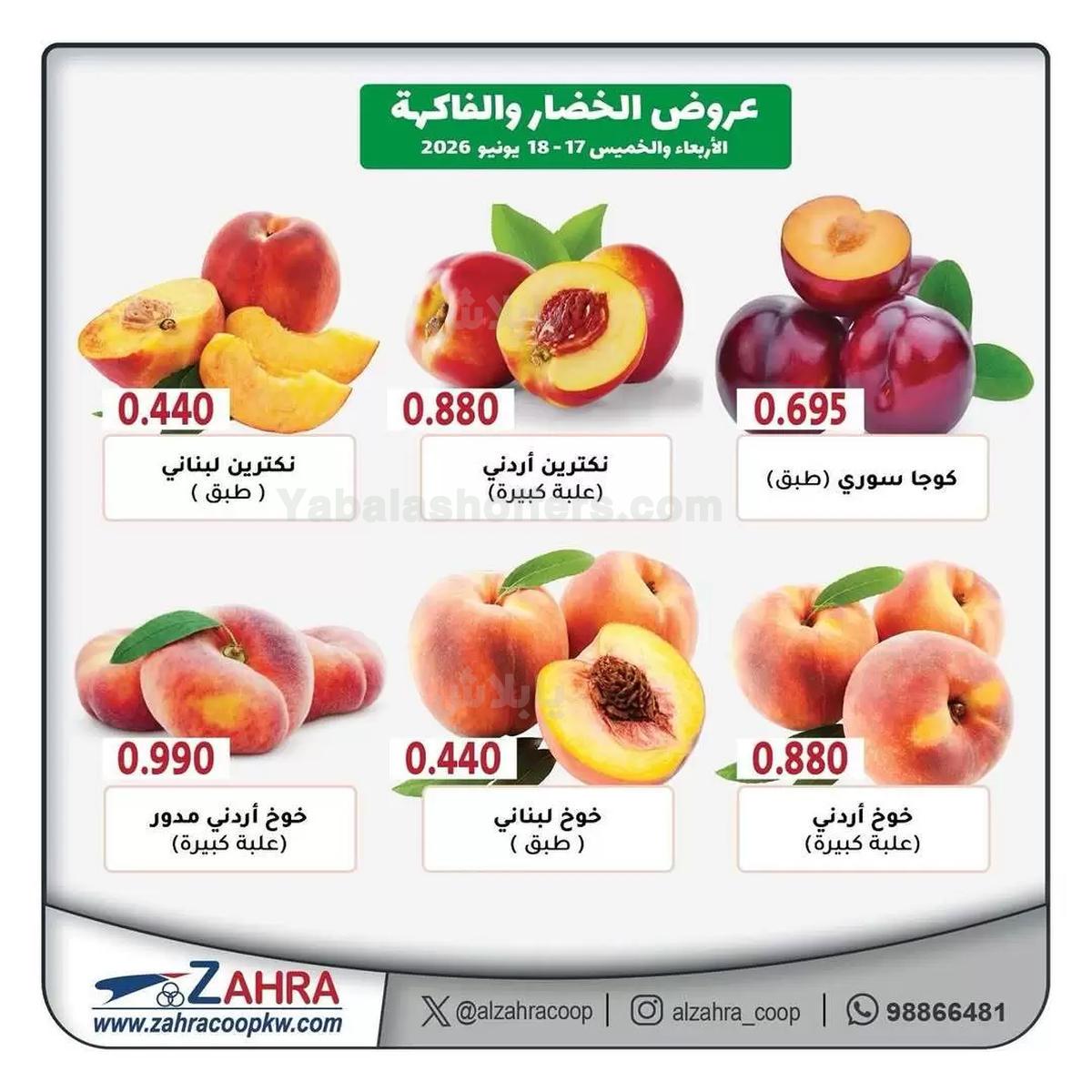صفحة 2