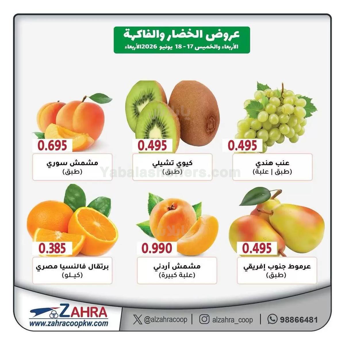 صفحة 4