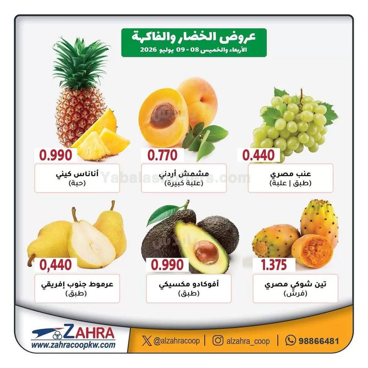 صفحة 3