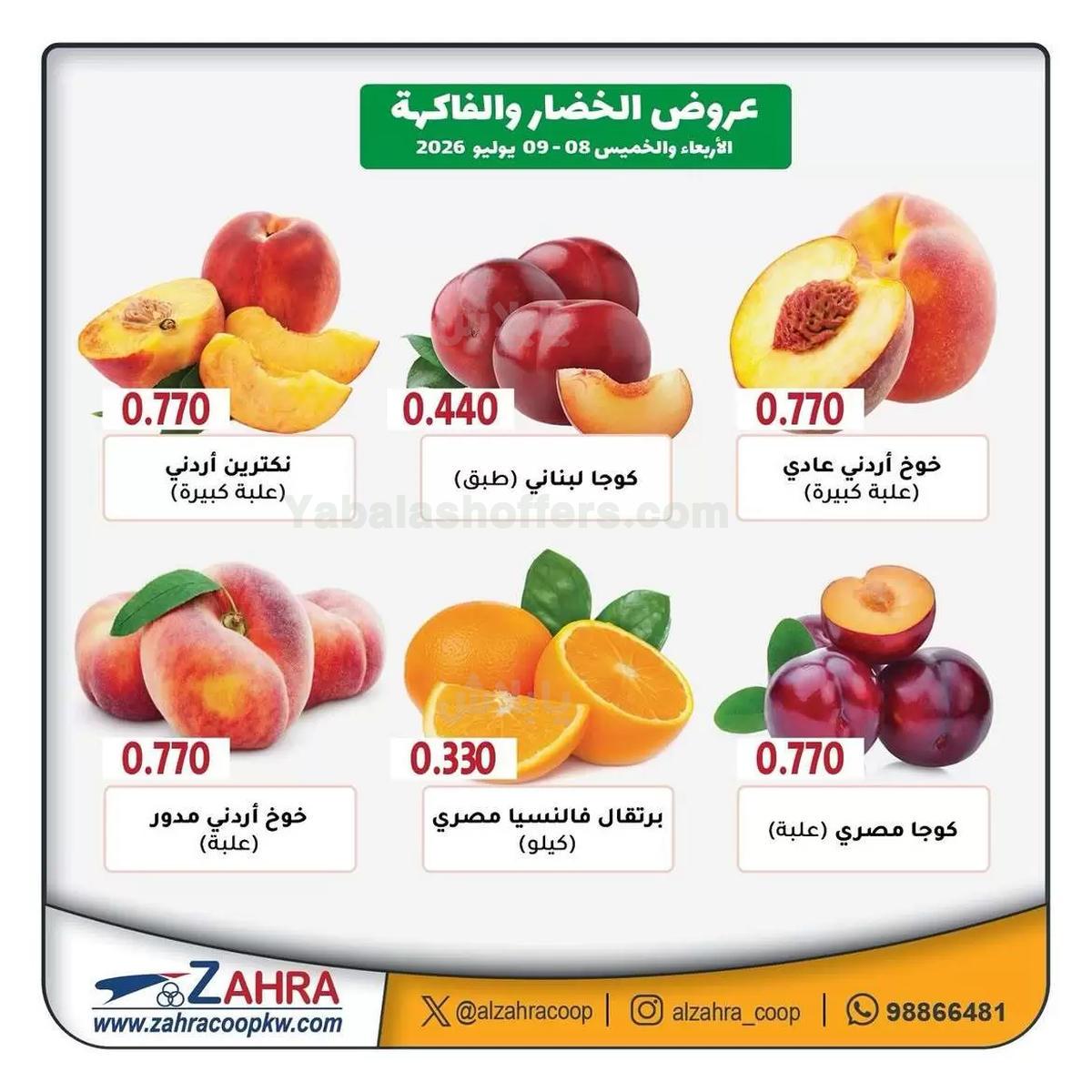 صفحة 4