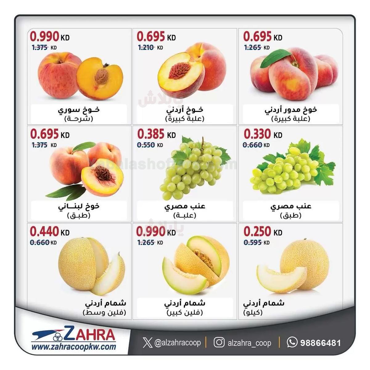 صفحة 4