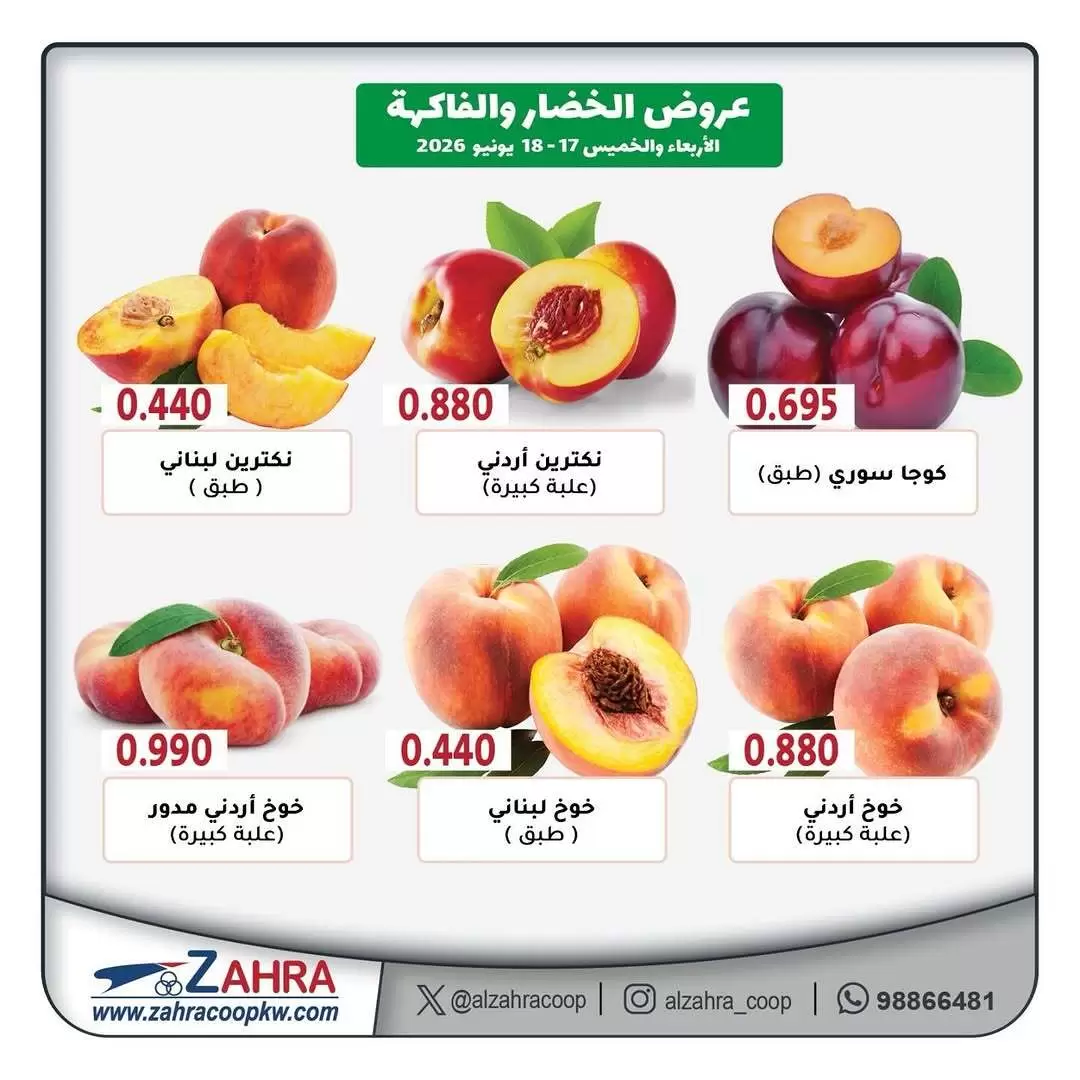 صفحة 2