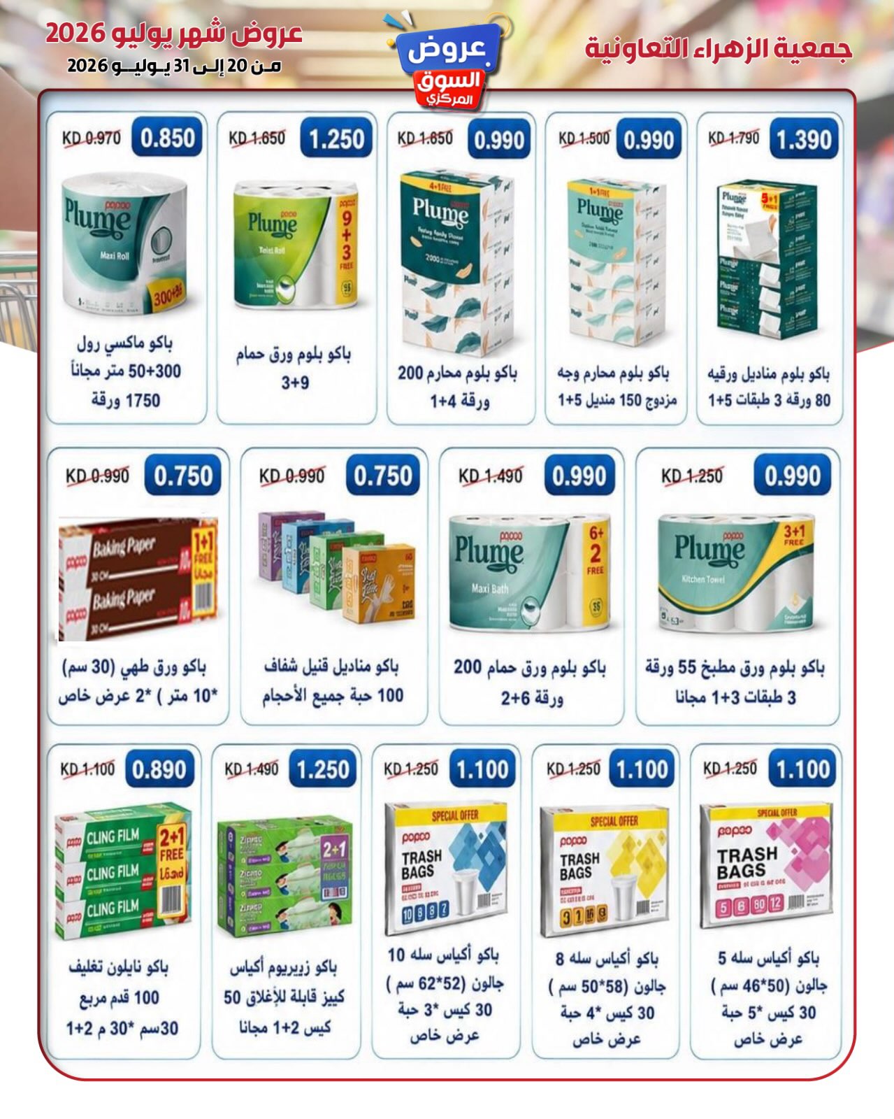 صفحة 29