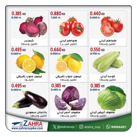 صفحة 4