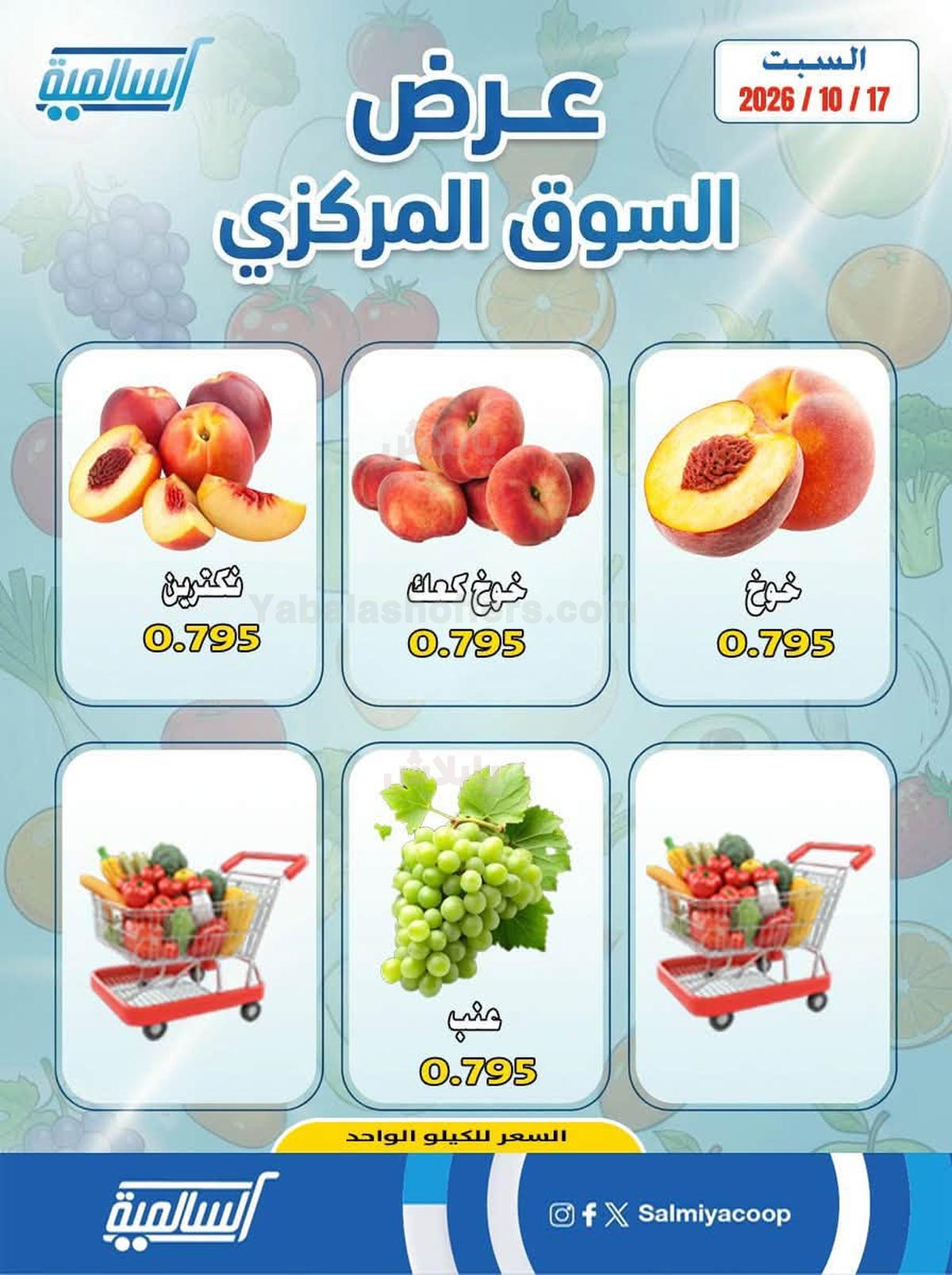 صفحة 4