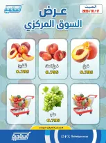 صفحة 9