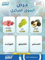صفحة 7
