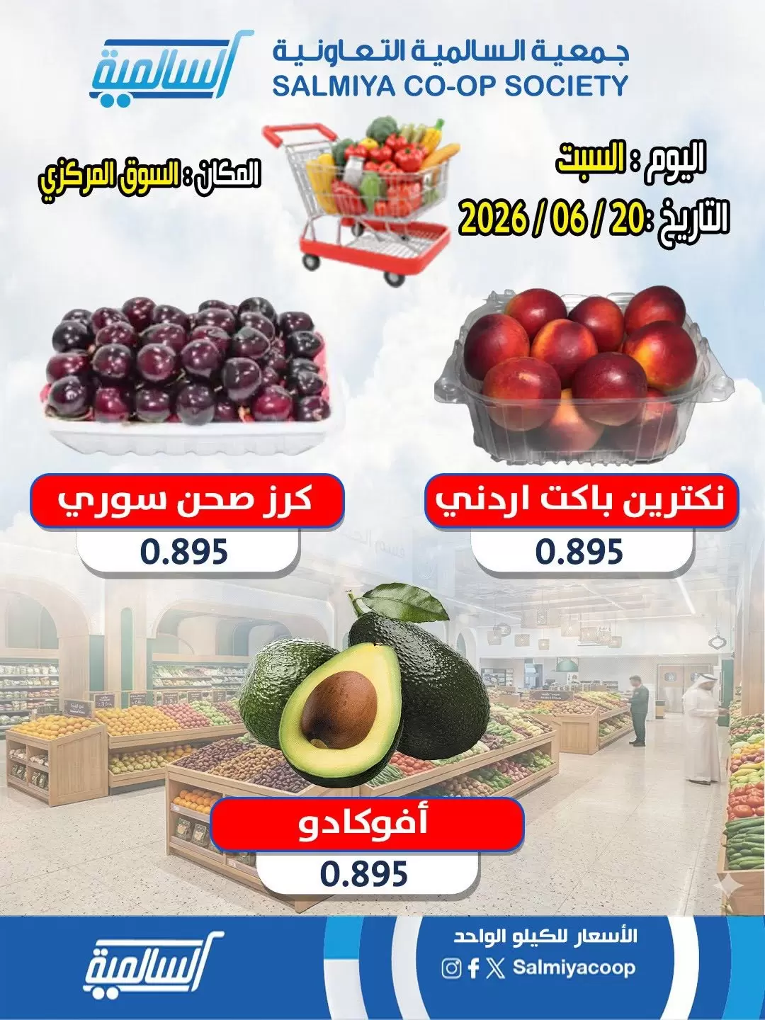 صفحة 5