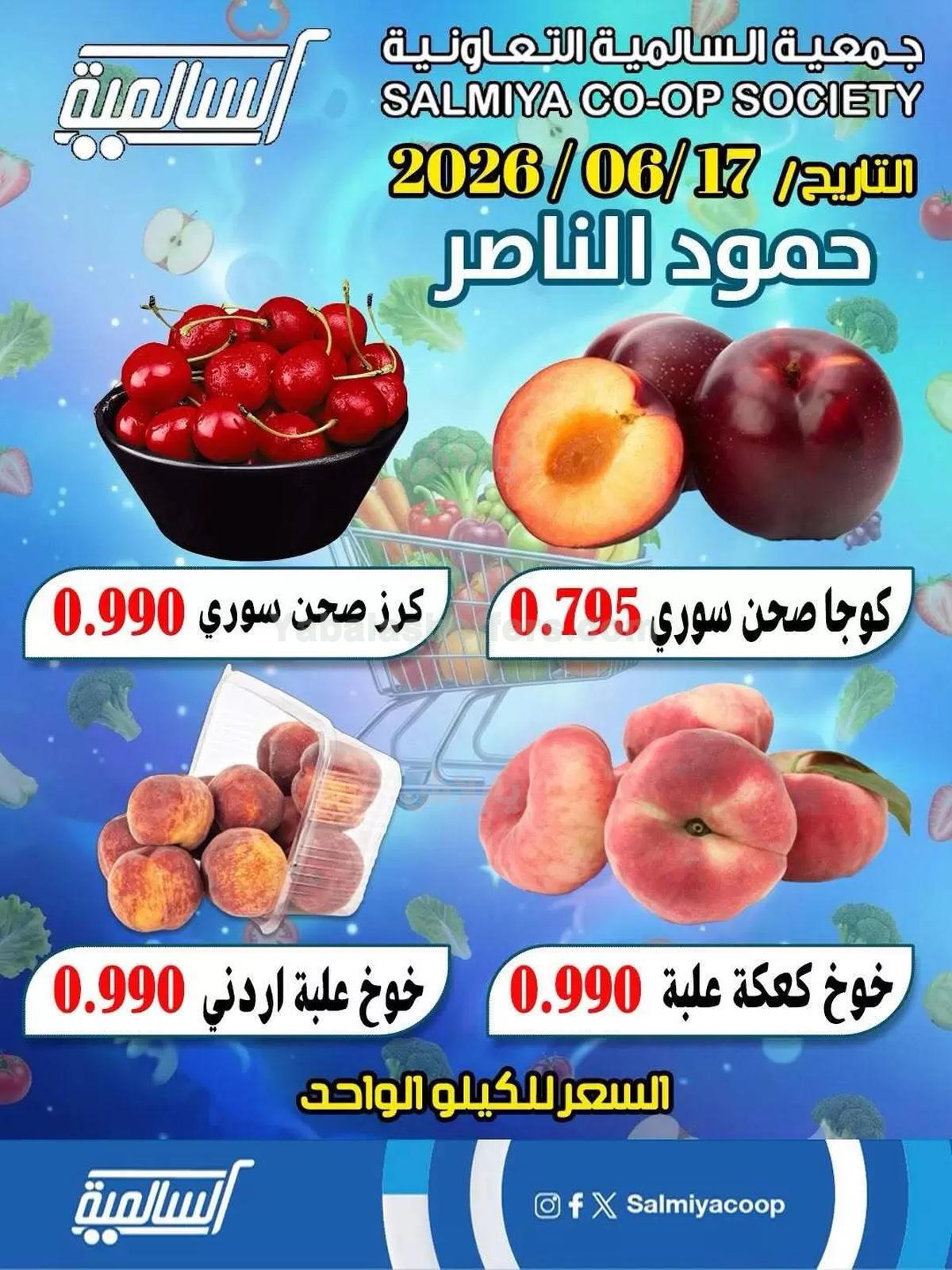 صفحة 4