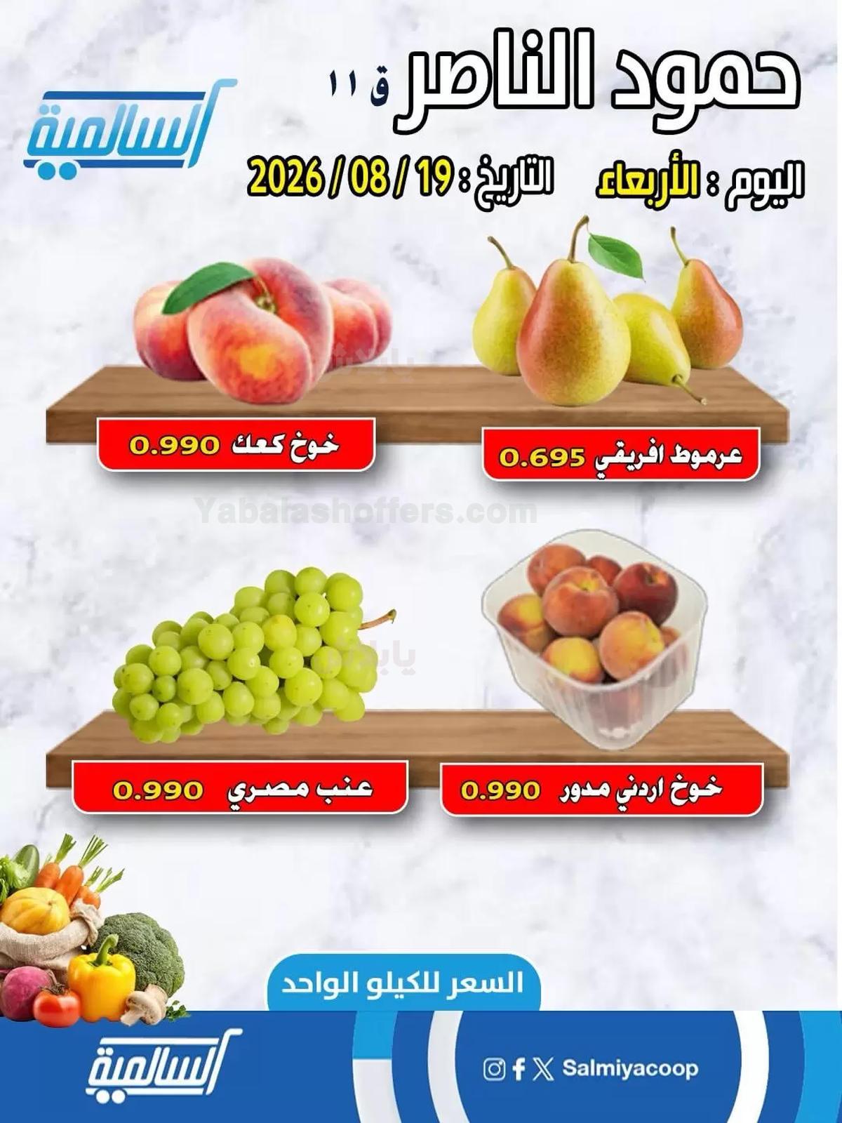 صفحة 4
