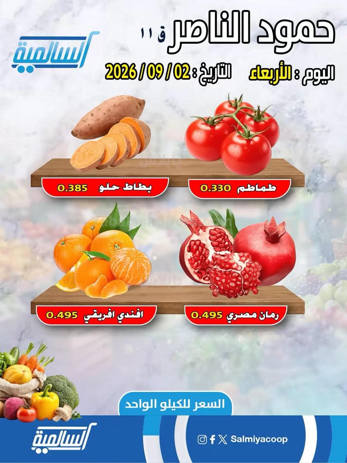 صفحة 2