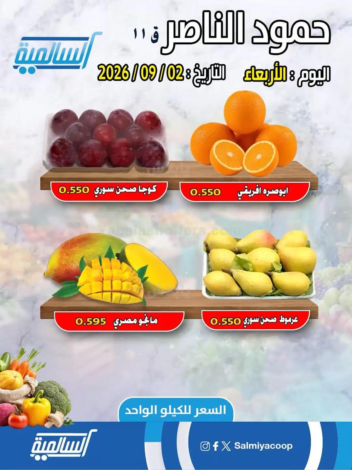 صفحة 3