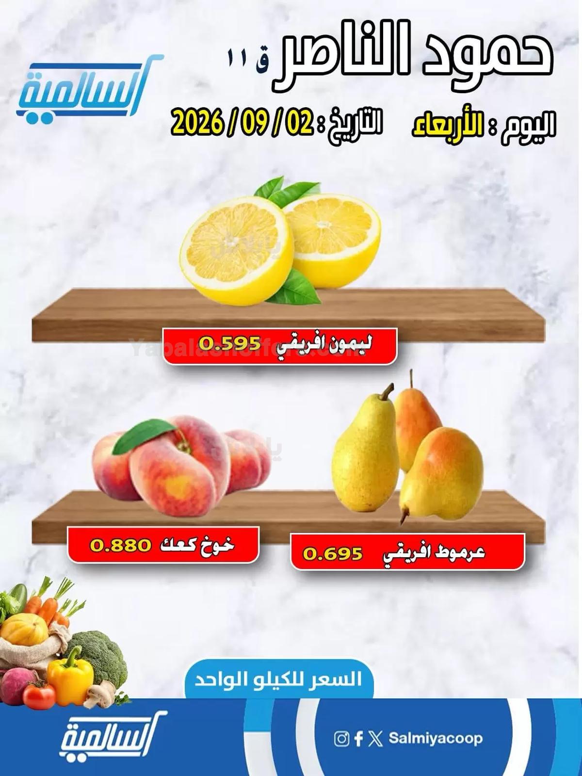 صفحة 4
