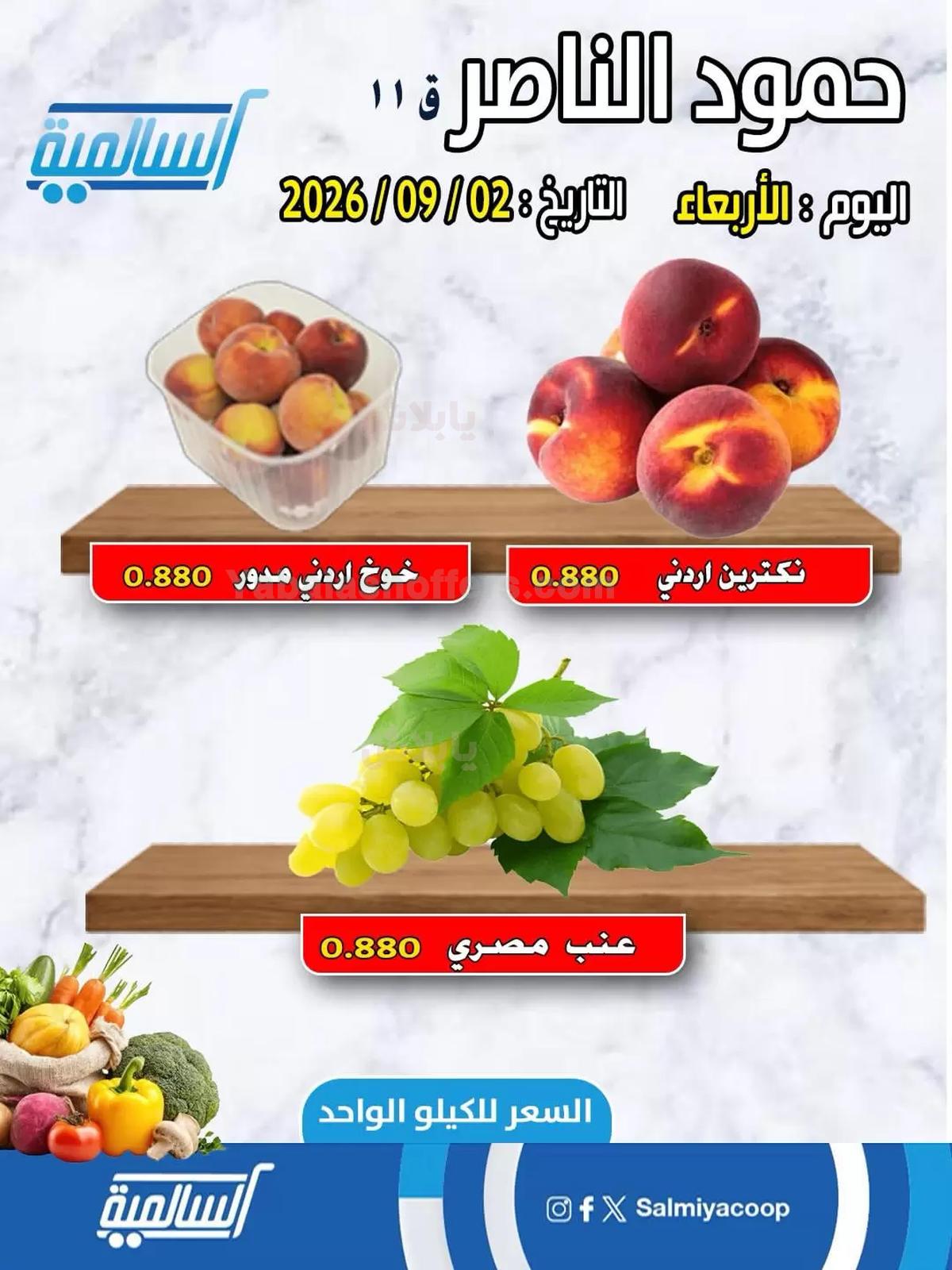 صفحة 5
