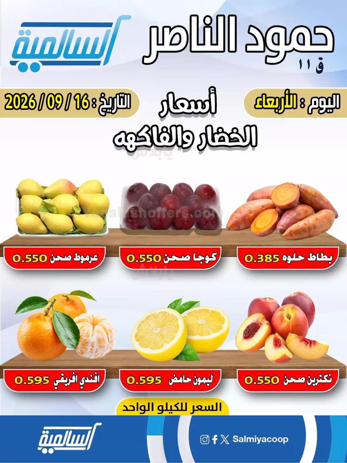 صفحة 2